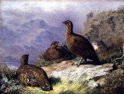 Urogallos en la orilla de un lago de Archibald Thorburn