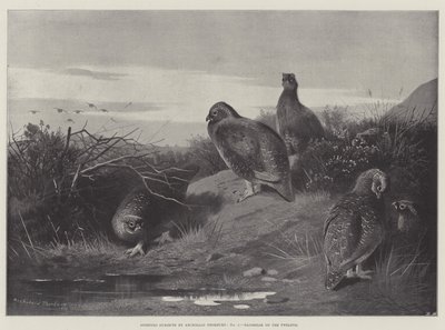 Temas deportivos, amanecer en el duodécimo de Archibald Thorburn