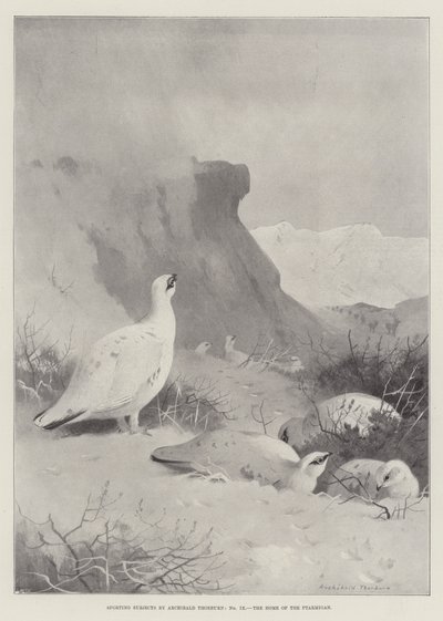Temas deportivos, el hogar del lagópodo de Archibald Thorburn