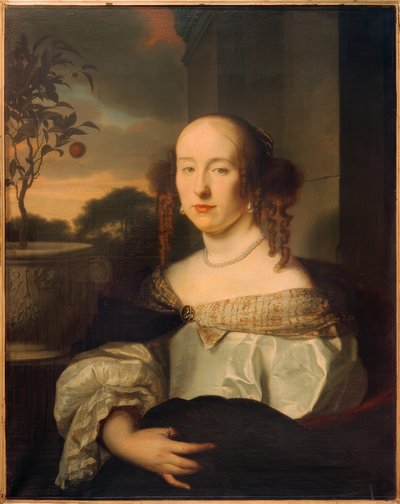 Retrato de una dama, medio cuerpo hacia la izquierda de Arie de Vois