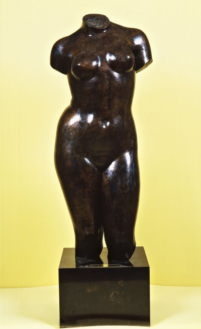 Venus; Torso de Venus, c.1920 de Aristide Maillol