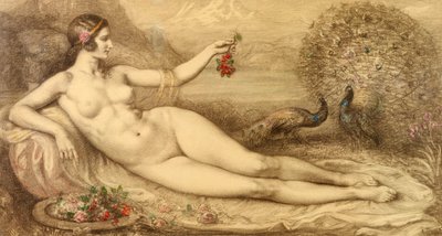 Juno de Armand Point