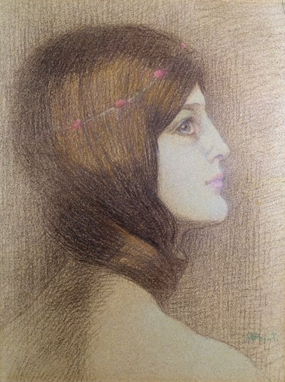 Retrato de una mujer de Armand Point