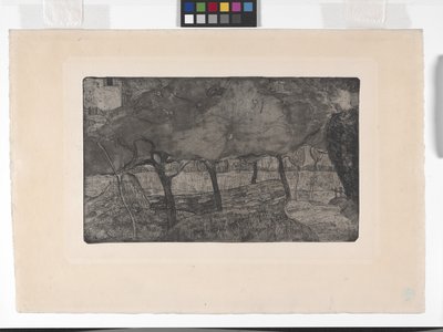 Les Pommiers (Los manzanos) (aguafuerte, aguatinta y punta seca) de Armand Séguin