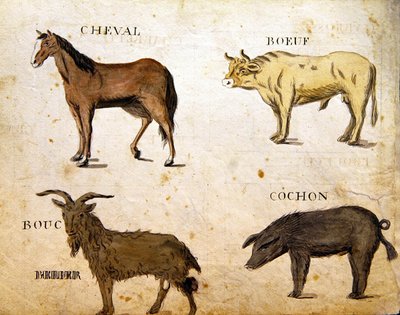 Ilustraciones de 