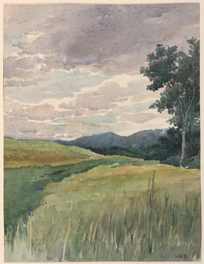Paisaje del Campo de Arnold William Brunner