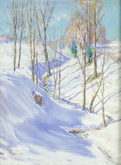 El barranco de Arthur B. Wilder