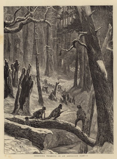 Cazando pavos en un bosque americano de Arthur Boyd Houghton