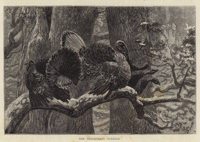 Los pavos triunfantes de Arthur Boyd Houghton