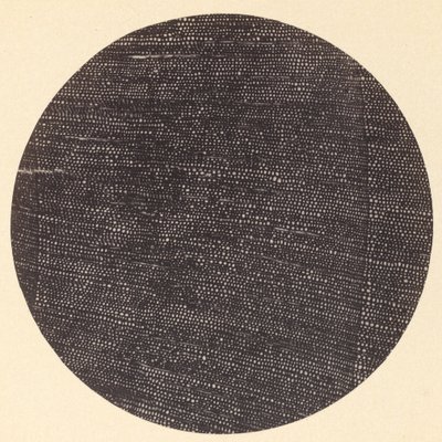 Microfotografía de Sección Transversal de Madera Salisburia, 1870s de Arthur Durham