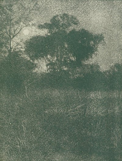 Luz de luna de Arthur E. Becher