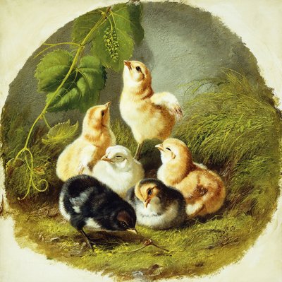Pollitos, 1863 de Arthur Fitzwilliam Tait