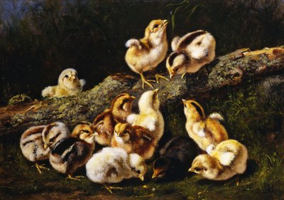 Pequeñas mascotas, 1899 de Arthur Fitzwilliam Tait