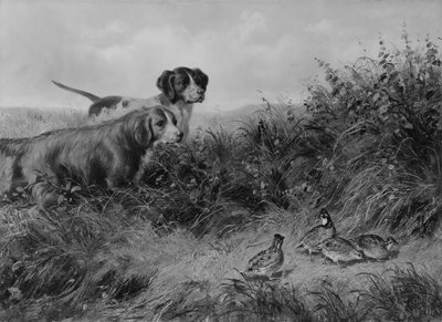 En Punta de Arthur Fitzwilliam Tait
