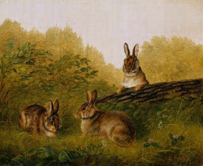 Conejos en un tronco de Arthur Fitzwilliam Tait