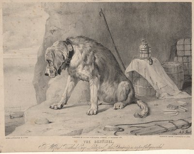 La centinela de Arthur Fitzwilliam Tait