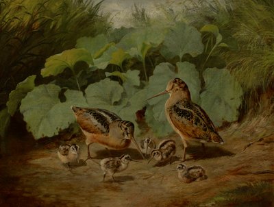 becada y joven de Arthur Fitzwilliam Tait