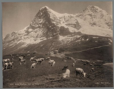 Vacas en el Kleine Scheidegg en el Oberland bernés, al fondo el Eiger y el Mönch Kleine Scheidegg, Eiger und Moench (título sobre el objeto) de Arthur Gabler