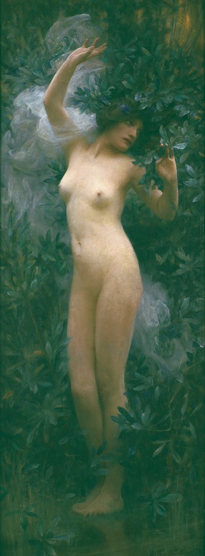 Dafne, c.1890 (óleo sobre lienzo) de Arthur Hacker