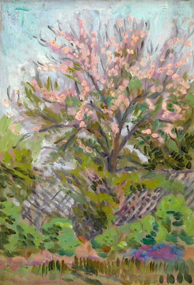 Flor de Cerezo con Cerca de Enrejado Abajo de Arthur Haythorne Studd
