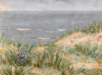 Vista al Mar con Dunas, Hierba Marina Floreciendo de Arthur Haythorne Studd