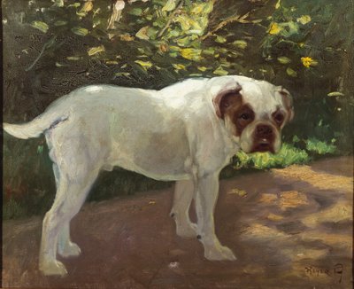 Un Bulldog en un Camino de Jardín de Arthur Heyer