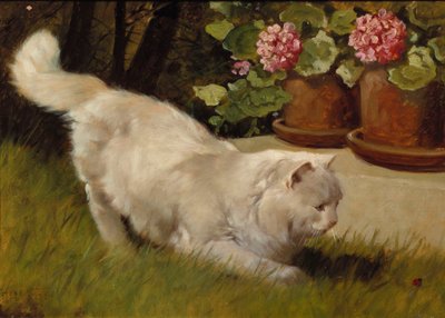 Un gato persa blanco con una mariquita de Arthur Heyer