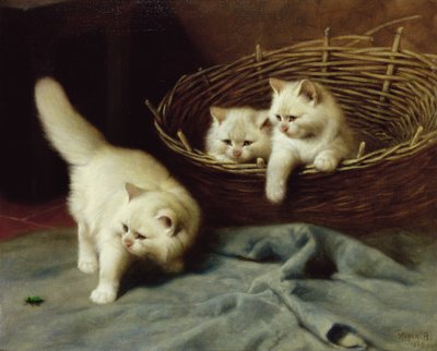 Gatitos angora blancos con un escarabajo, 1929 de Arthur Heyer