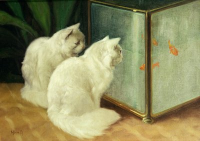 Gatos blancos observando peces dorados de Arthur Heyer