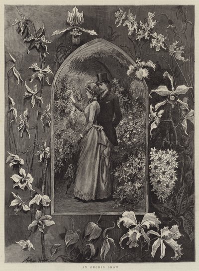 Una exposición de orquídeas de Arthur Hopkins