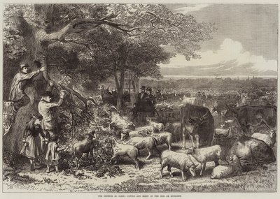 La Defensa de París, Ganado y Ovejas en el Bois de Boulogne de Arthur Hopkins