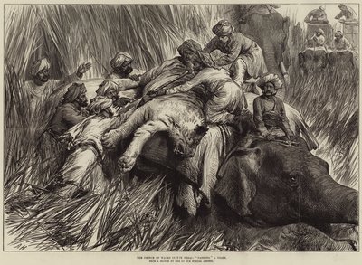 El Príncipe de Gales en el Terai, cazando un tigre de Arthur Hopkins