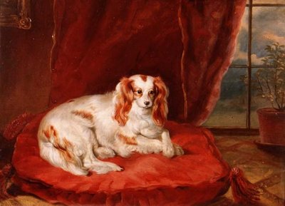 Un Cavalier King Charles Spaniel acostado en un cojín rojo de Arthur J. Stark