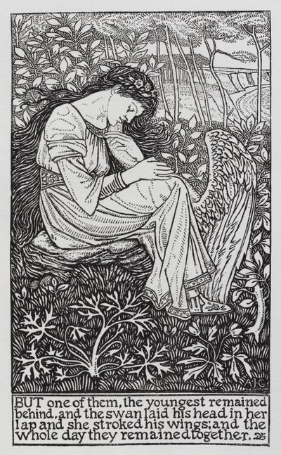 Hans Christian Andersen: Los cisnes salvajes de Arthur Joseph Gaskin