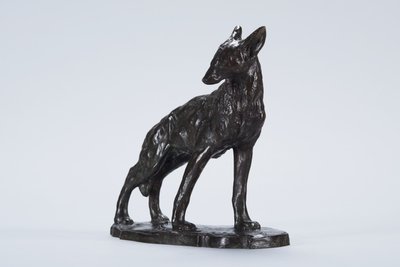 Coyote alerta de Arthur Putnam