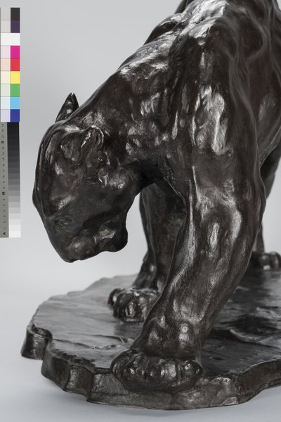Gran Puma Oliendo Rastro de Buey de Arthur Putnam