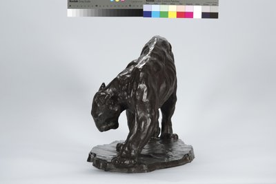 Gran Puma Oliendo Rastro de Buey de Arthur Putnam