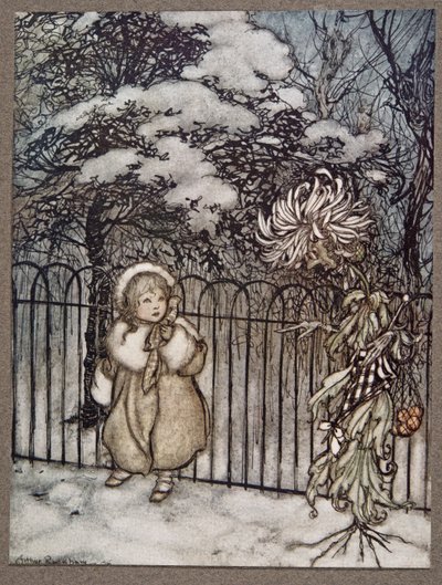 Un crisantemo la oyó, y dijo con énfasis, ¡Hoity-toity, qué es esto?, de Peter Pan en los Jardines de Kensington por J M Barrie (1860 - 1937), pub. 1906 de Arthur Rackham