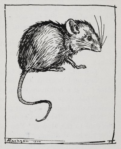 Un ratón de Arthur Rackham