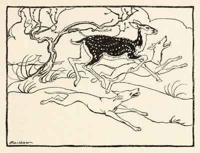 Becfola en su carro, de El cortejo de Becfola en Cuentos de hadas irlandeses de Arthur Rackham