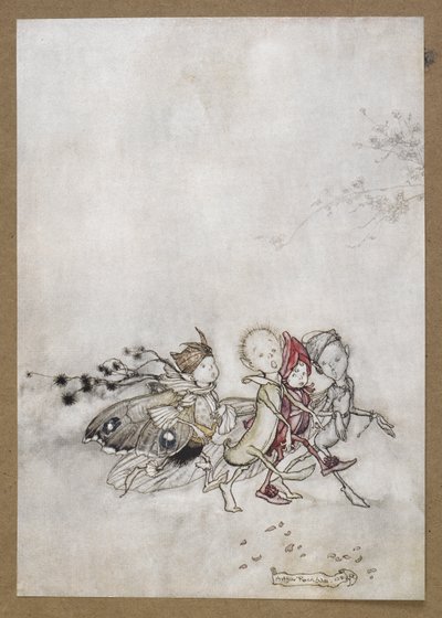Entre la flor de la paz, la telaraña, la polilla y la semilla de mostaza".
Una escena de "Sueño de una noche de verano". de Arthur Rackham