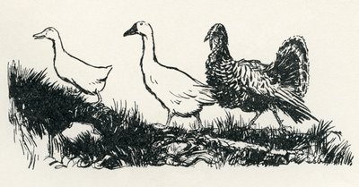Henny-Penny de Arthur Rackham