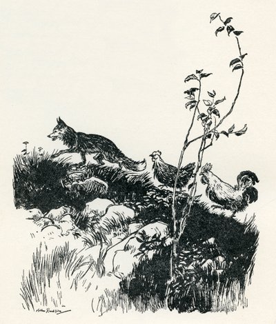 Henny-Penny de Arthur Rackham