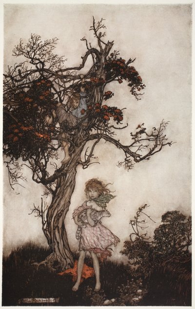 Sus hijos eran tan andrajosos y salvajes como si no pertenecieran a nadie., de Rip Van Winkle de Washington Irving, pub. 1910 de Arthur Rackham