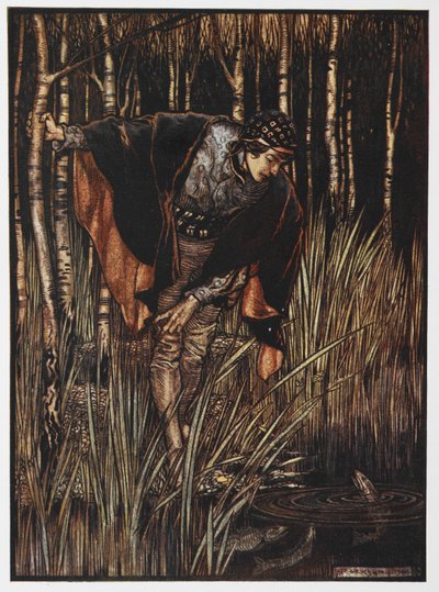 Ilustración de un joven junto a un estanque de La serpiente blanca. de Arthur Rackham