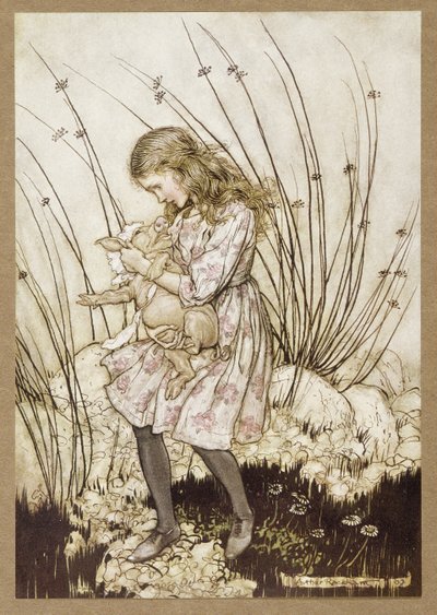 "Gruñó de nuevo tan violentamente que ella miró su rostro con cierta alarma", de Las aventuras de Alicia en el país de las maravillas, de Lewis Carroll, pub. 1907 de Arthur Rackham
