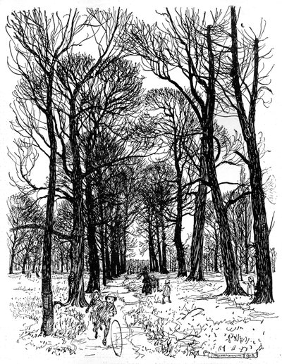 Peter Pan en los jardines de Kensington de Arthur Rackham