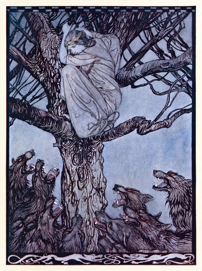 Ella miró con ira y tristeza a la horda que se esforzaba y gruñía abajo de El cortejo de Becfola en Cuentos de hadas irlandeses de Arthur Rackham