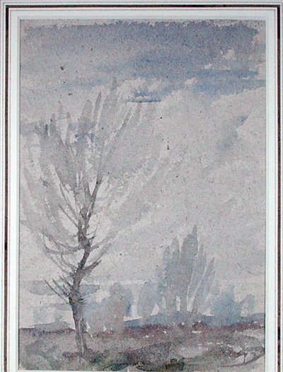 Estudio de un árbol de Arthur Rackham