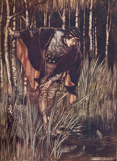 Los peces, en su alegría, levantaron la cabeza sobre el agua y prometieron recompensarlo, de Los cuentos de hadas de los hermanos Grimm, pub. 1909 de Arthur Rackham
